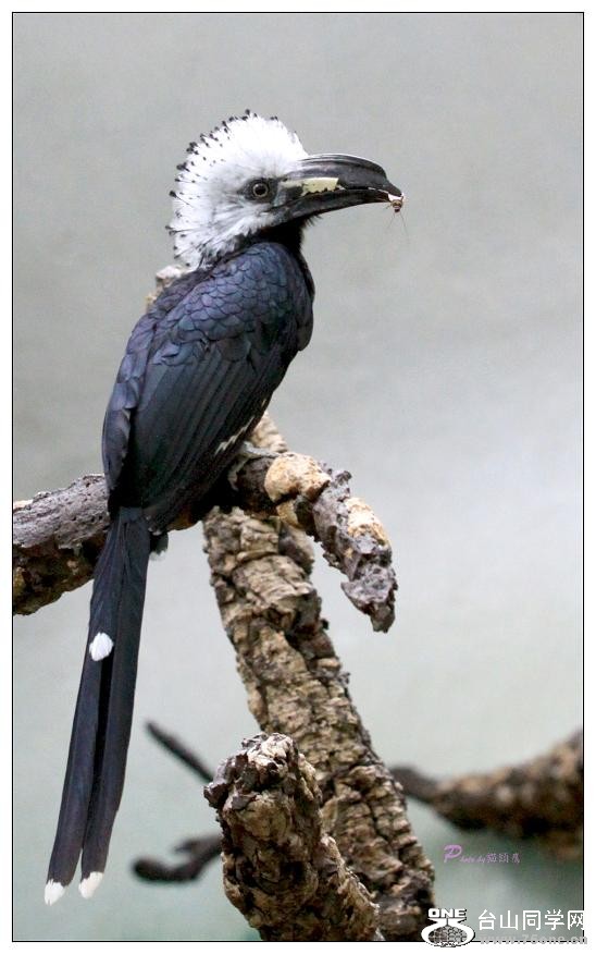 �}�u -IMG_0570c.jpg