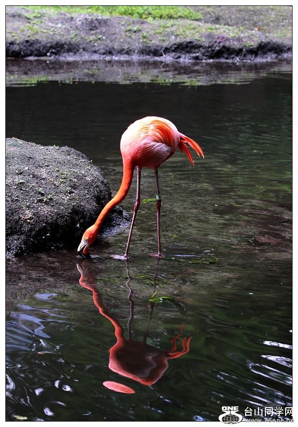 �}�u -IMG_0338c.jpg