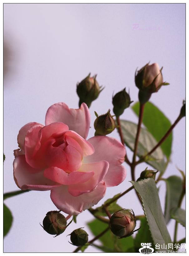 �}�u -IMG_9711cc.jpg