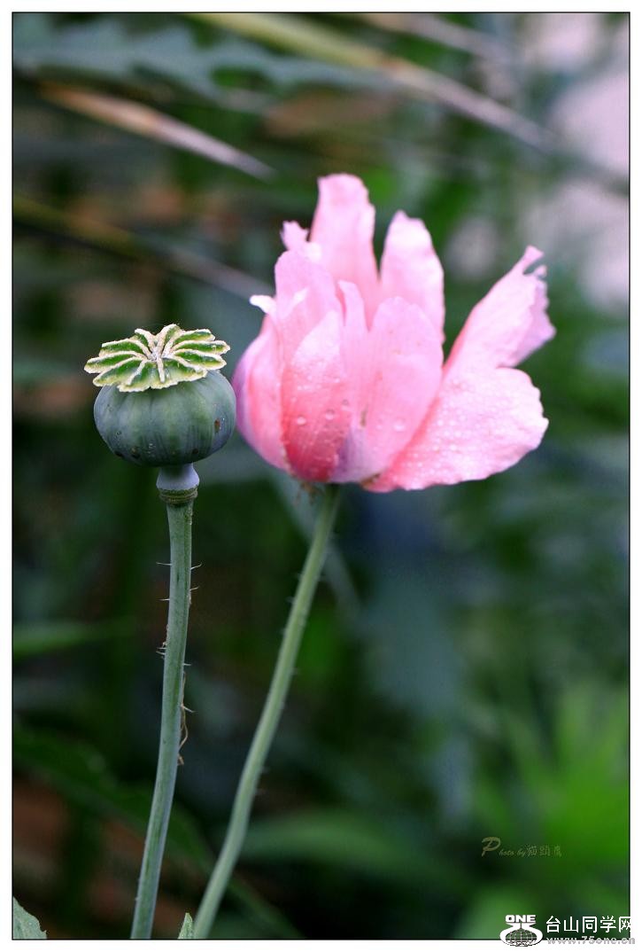 �}�u -IMG_9626cc.jpg