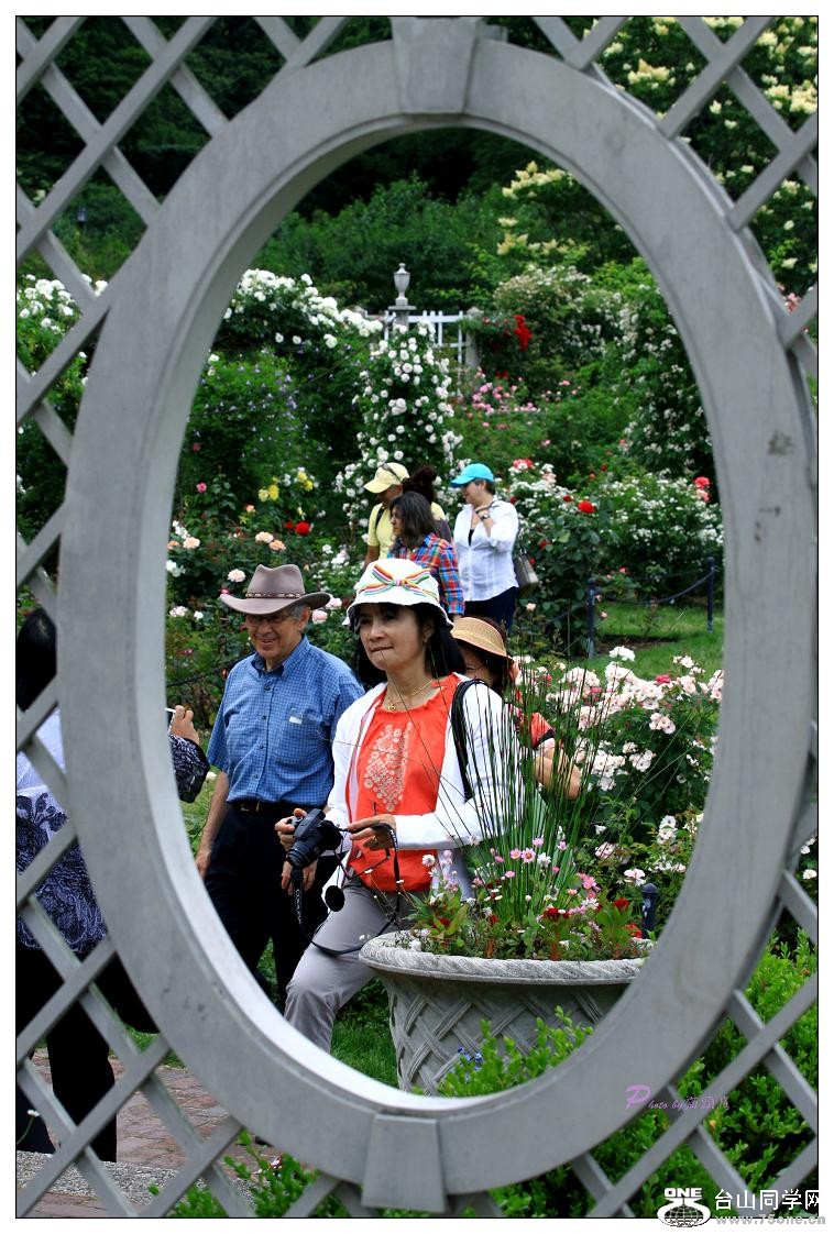 �}�u -IMG_9877cc.jpg