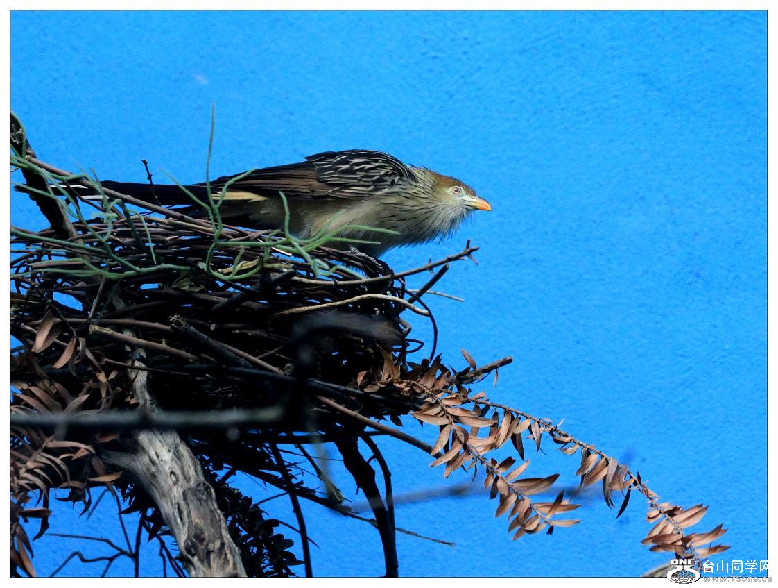 �}�u -IMG_0551cc.jpg