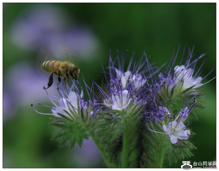 �}�u -IMG_9527cc.jpg