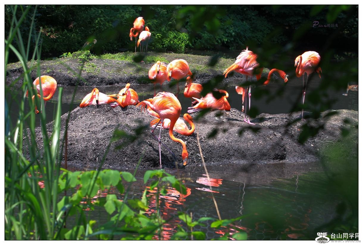 �}�u -IMG_0159ccc.jpg