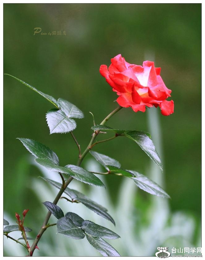 �}�u -IMG_9922cc.jpg