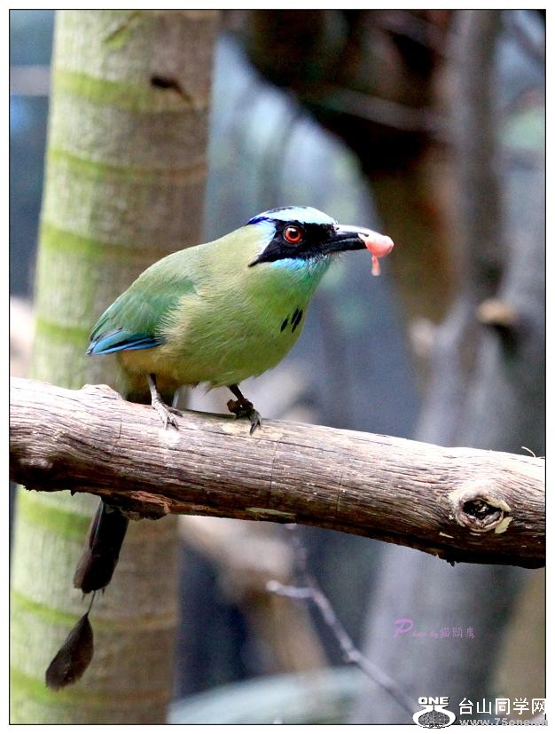 �}�u -IMG_0564cc.jpg