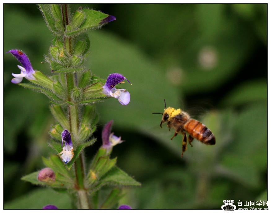 �}�u -IMG_9576cc.jpg