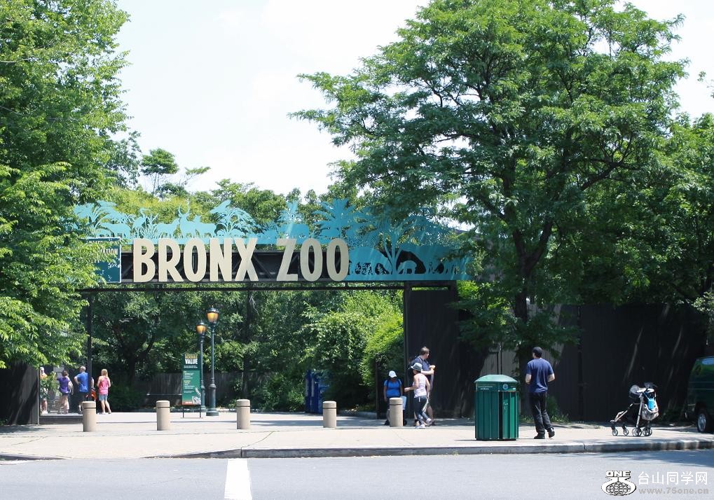 �}�u -IMG_0016cc.jpg