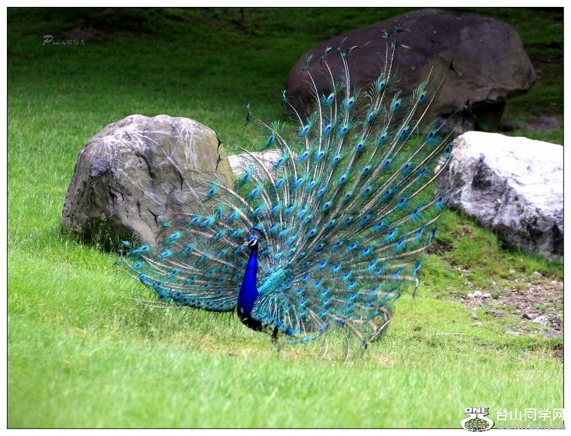 �}�u -IMG_0951c.jpg