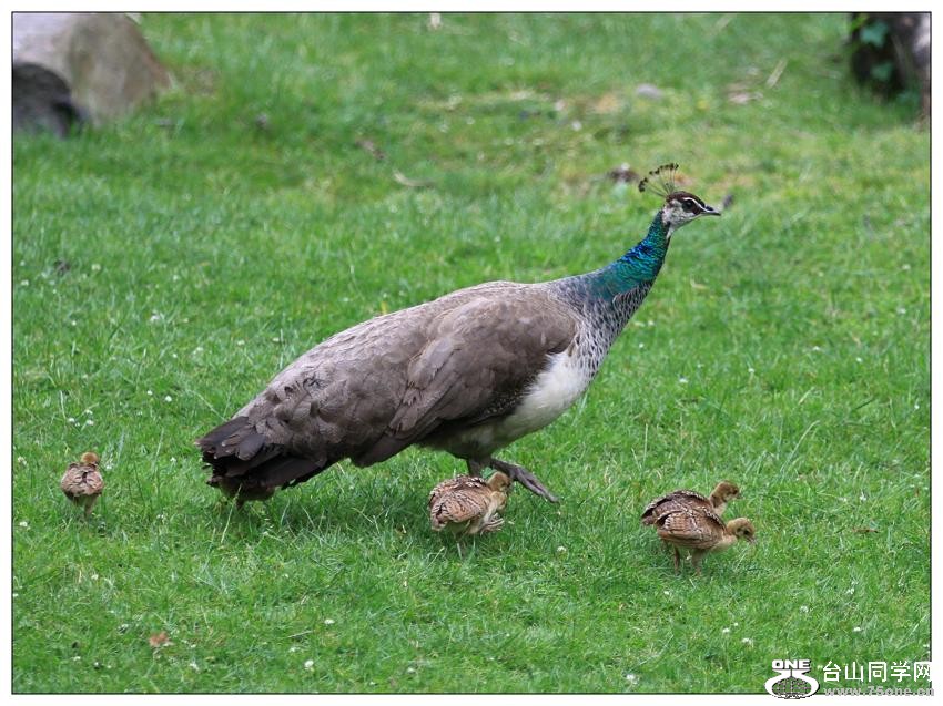 �}�u -IMG_0960c.jpg