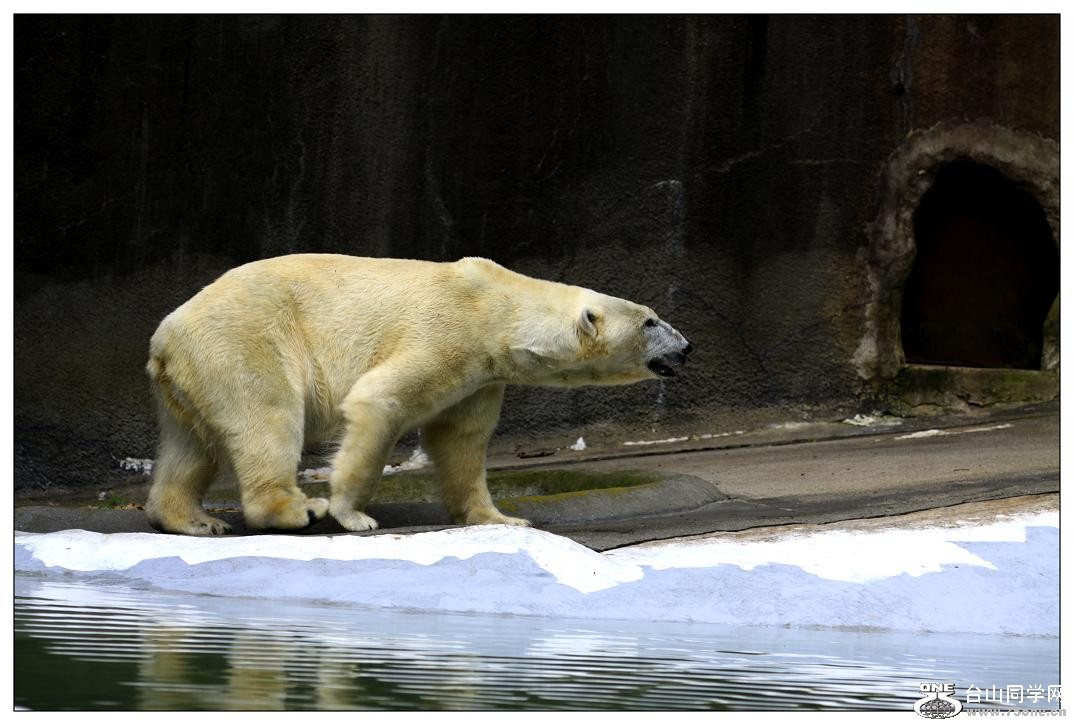 �}�u -IMG_0608c.jpg