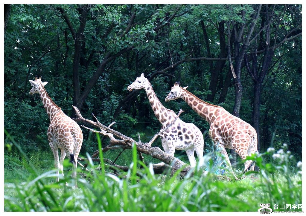 �}�u -IMG_0864cc.jpg