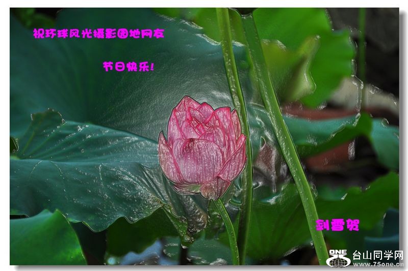 DSC_0016_conew7.jpg