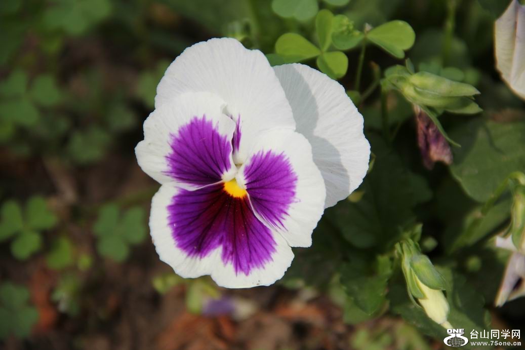 ������С IMG_6401.JPG