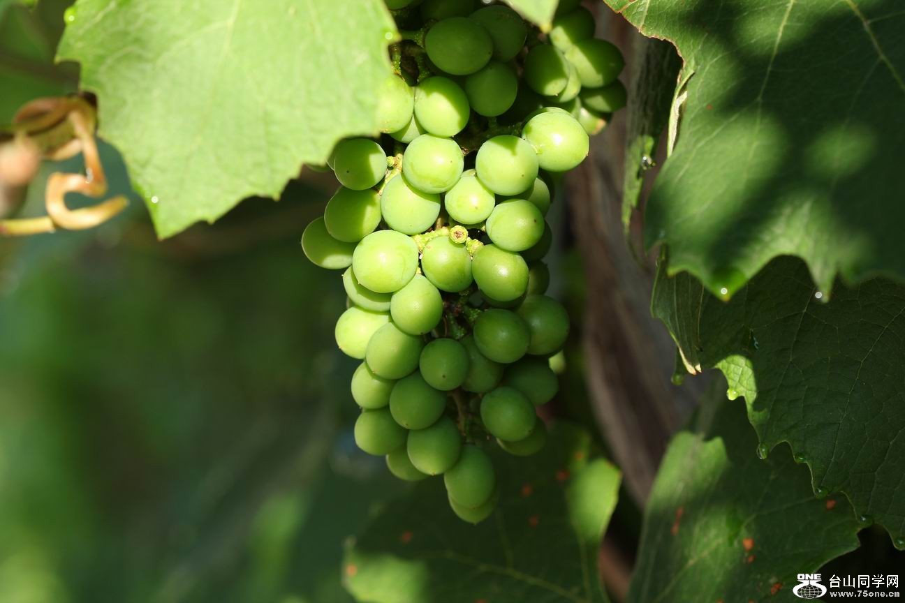 ������С IMG_6496.JPG