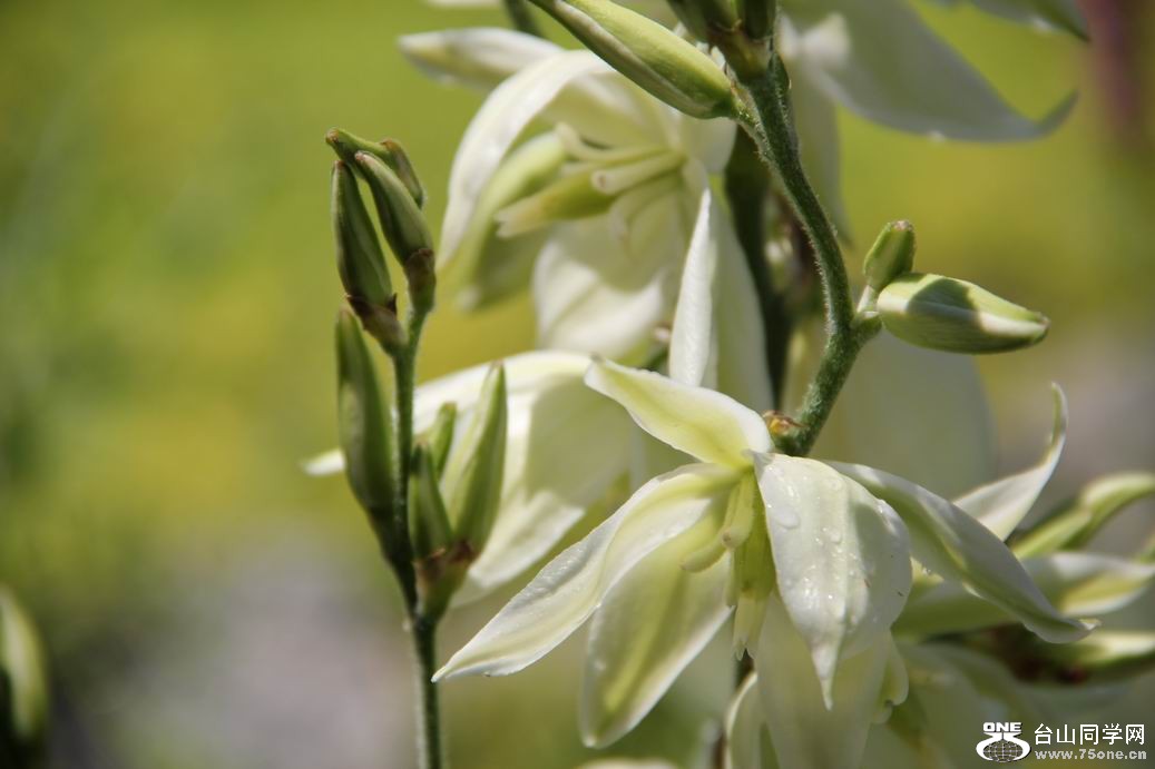 ������С IMG_6373.JPG