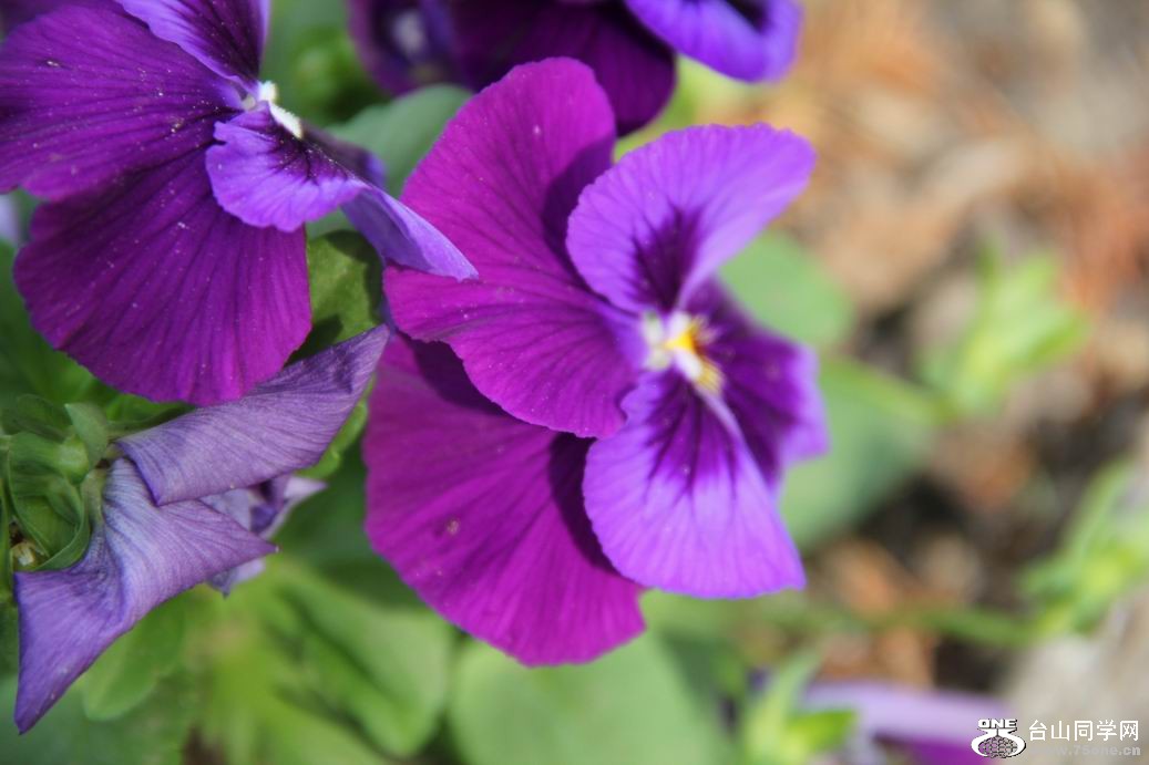 ������С IMG_6402.JPG