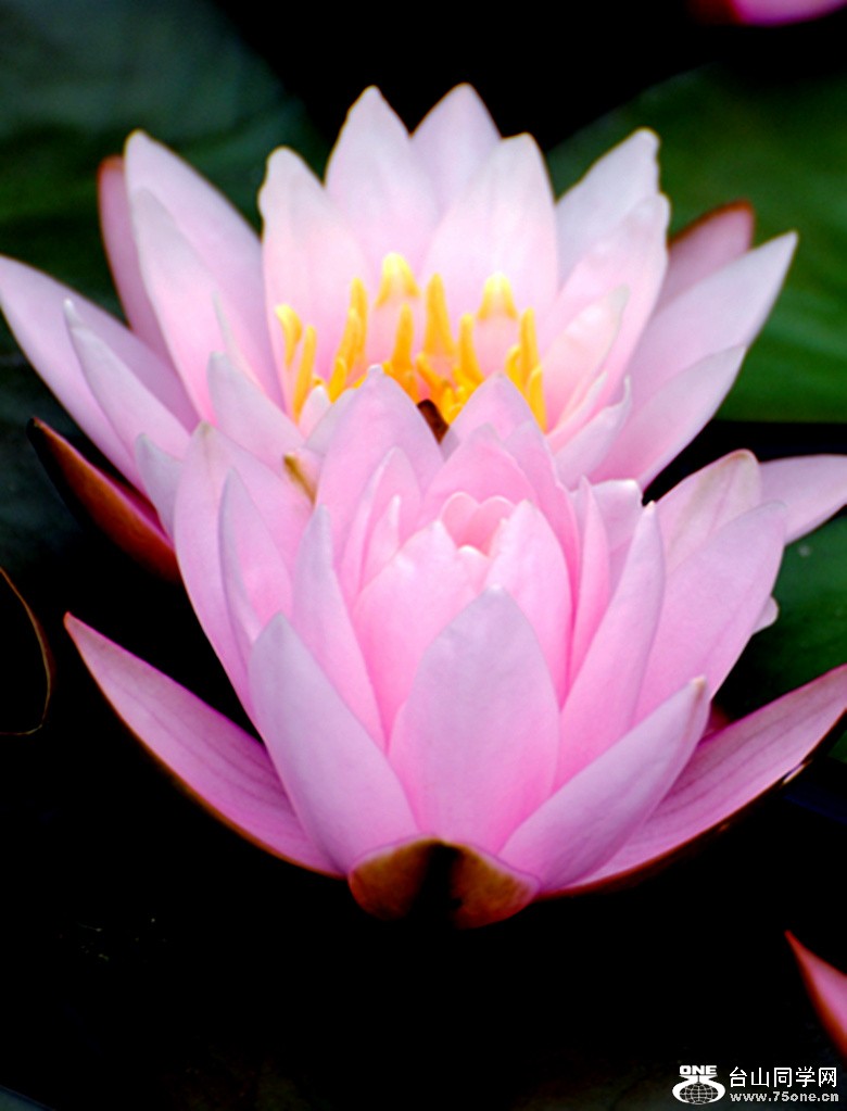 Picture 304_����.jpg