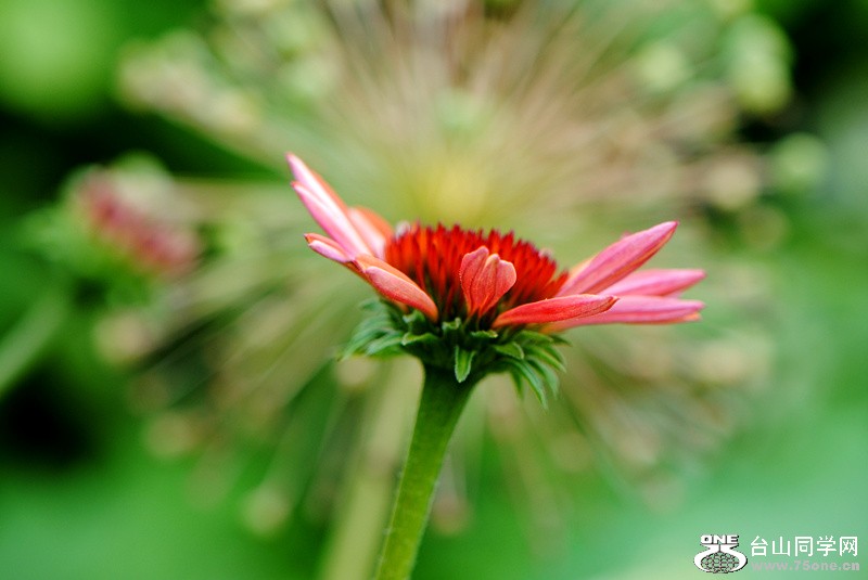 Picture 008_����.jpg