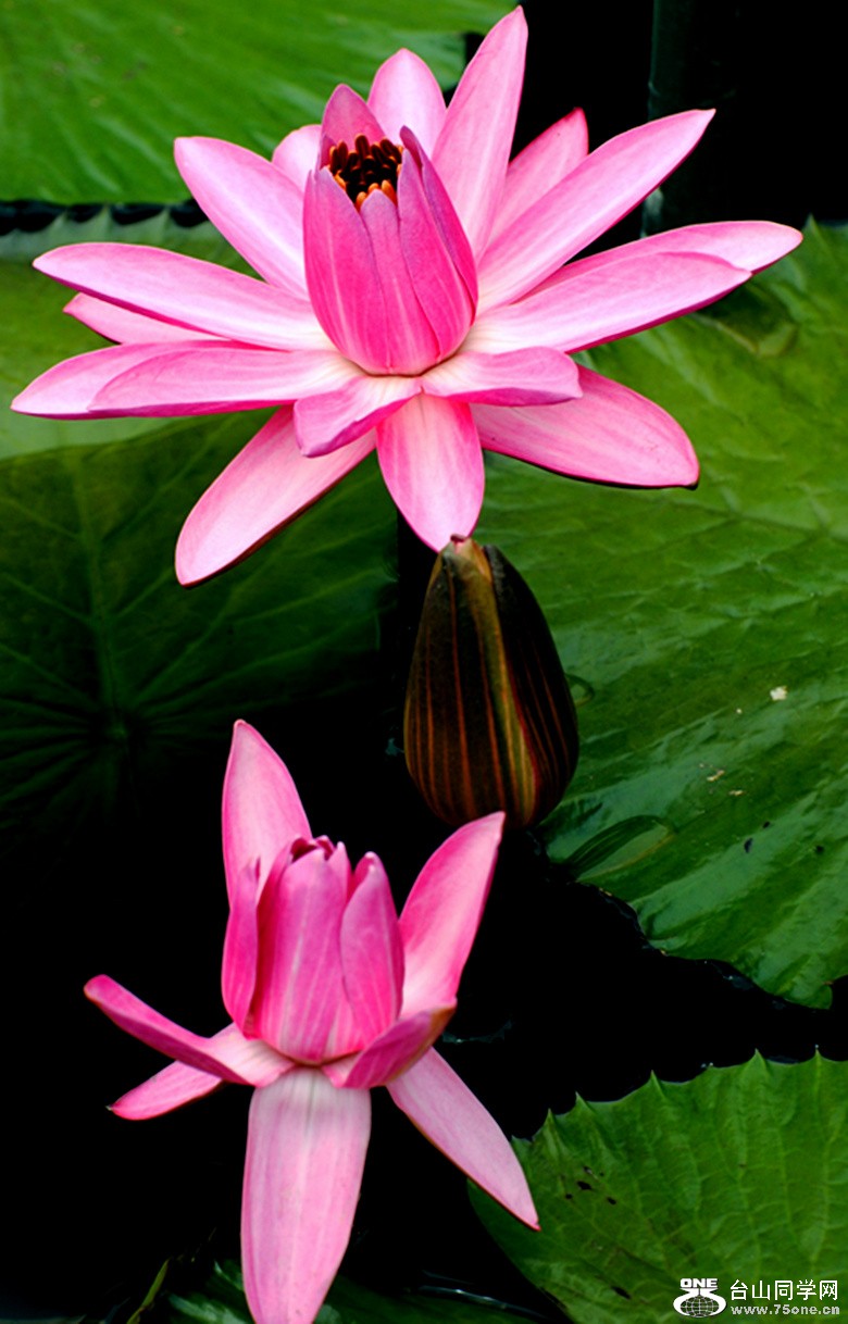 Picture 309_����.jpg