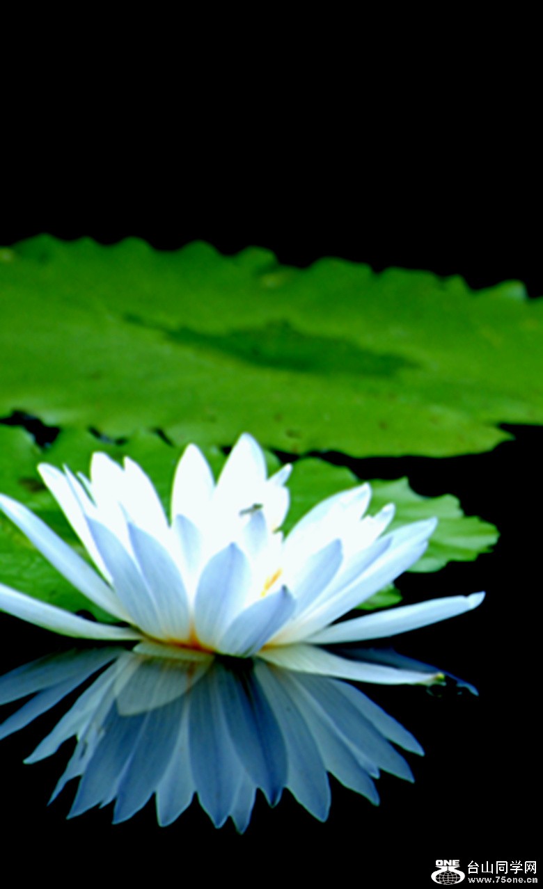 Picture 313b_����.jpg