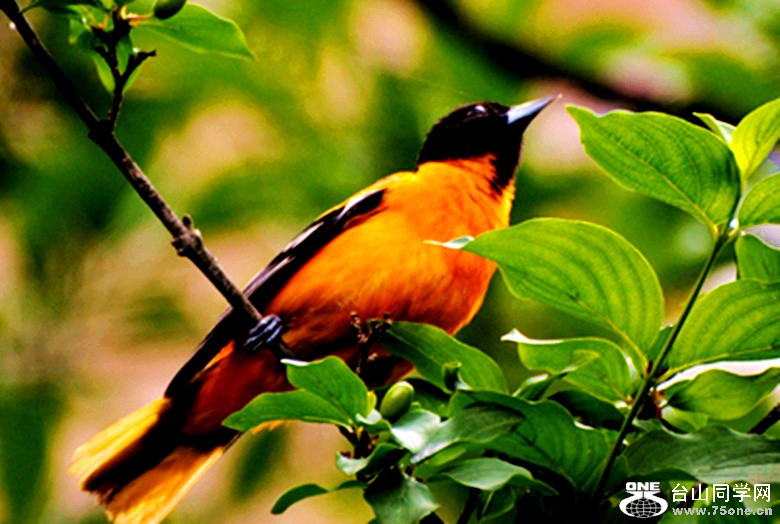 Picture 024_����.jpg