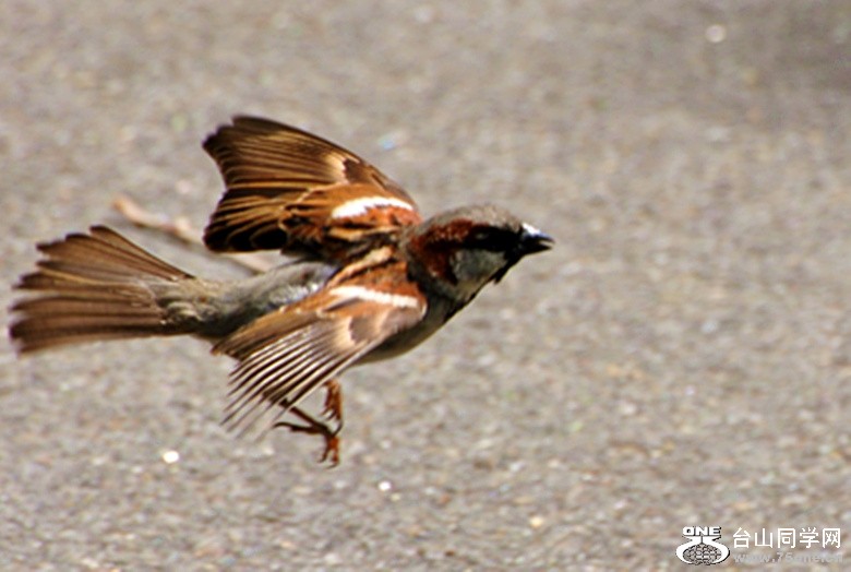 Picture 562_����.jpg