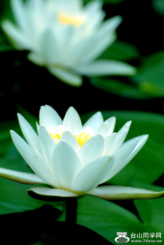 Picture 301_����.jpg