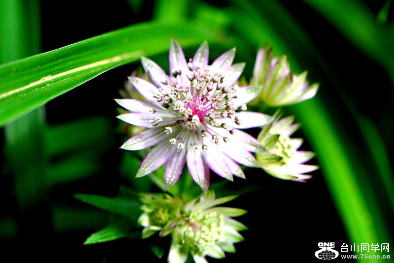 Picture 097_����.jpg