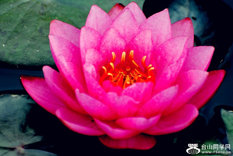 Picture 322_����.jpg