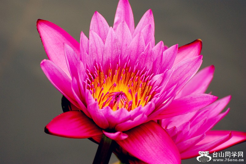 Picture 327_����.jpg