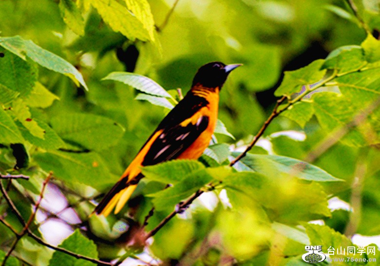 Picture 026_����.jpg