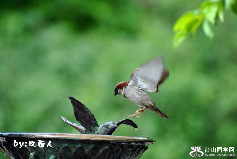 Picture 453_����.jpg