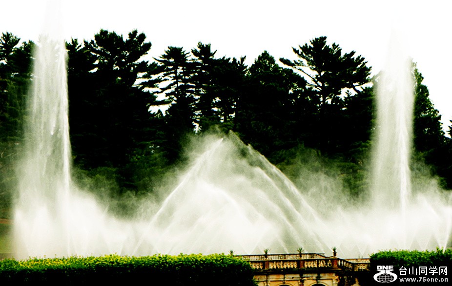 Picture 595_����.jpg