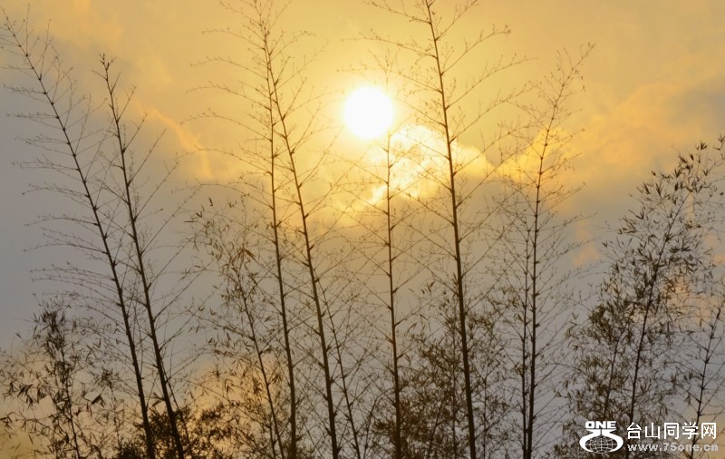 _DSC0398 [800x600].jpg