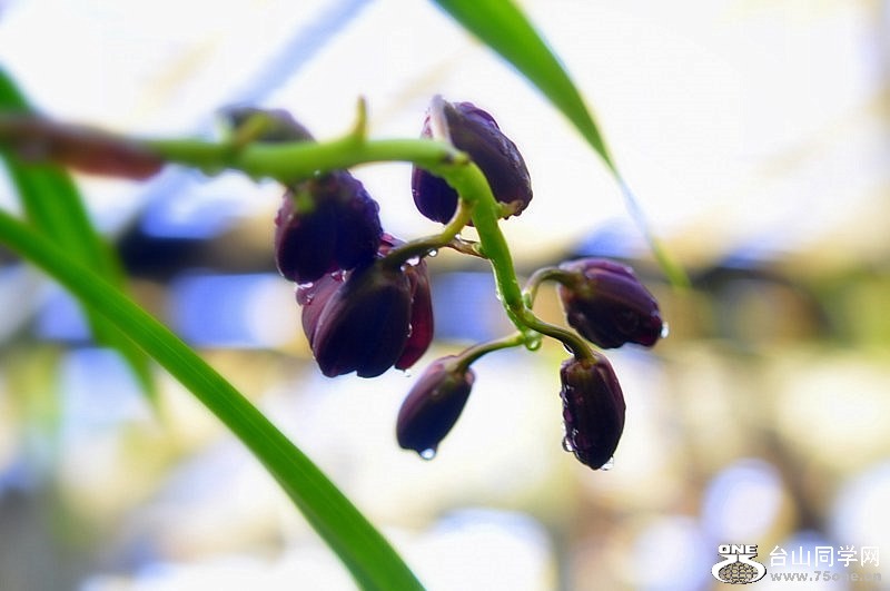 _DSC0485 [800x600].jpg