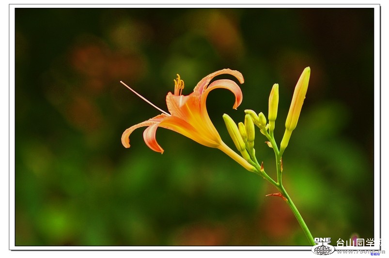 Сѧͬѧ��ۼ����������� 398--1.jpg