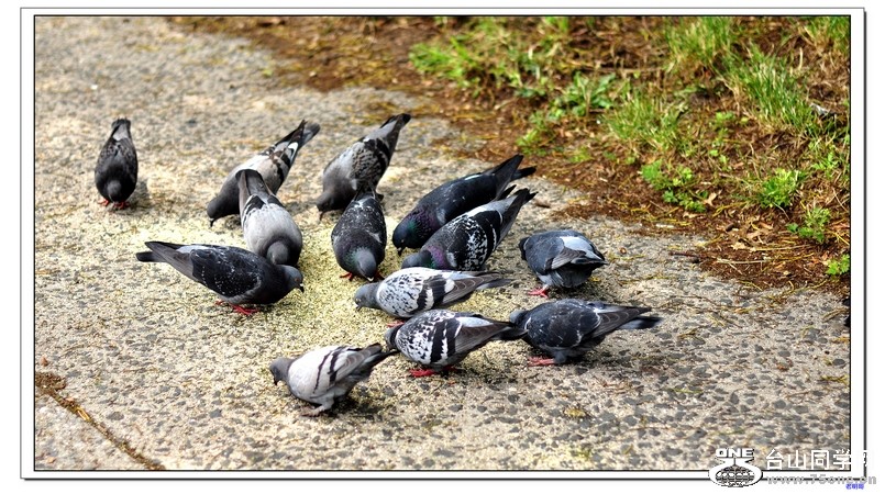 Сѧͬѧ��ۼ����������� 390--1.jpg