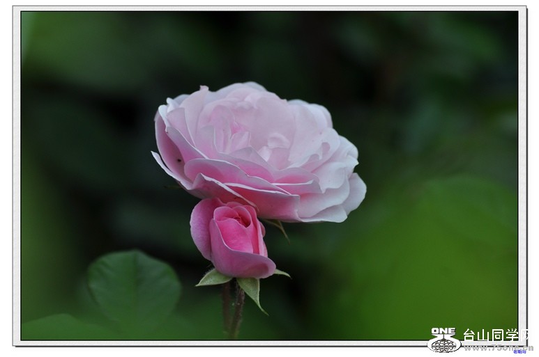 2011.04.16 374--1.jpg