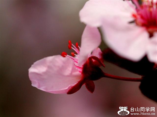 IMG_06300 (Small).jpg