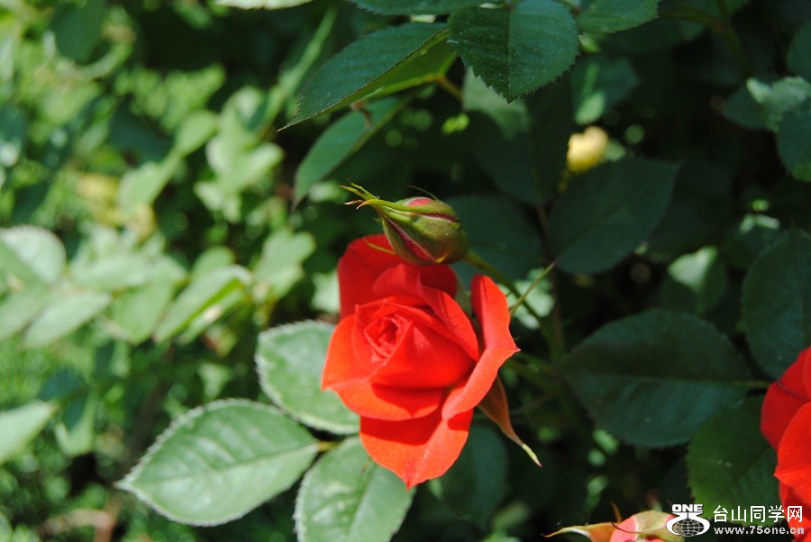DSC_0018.JPG