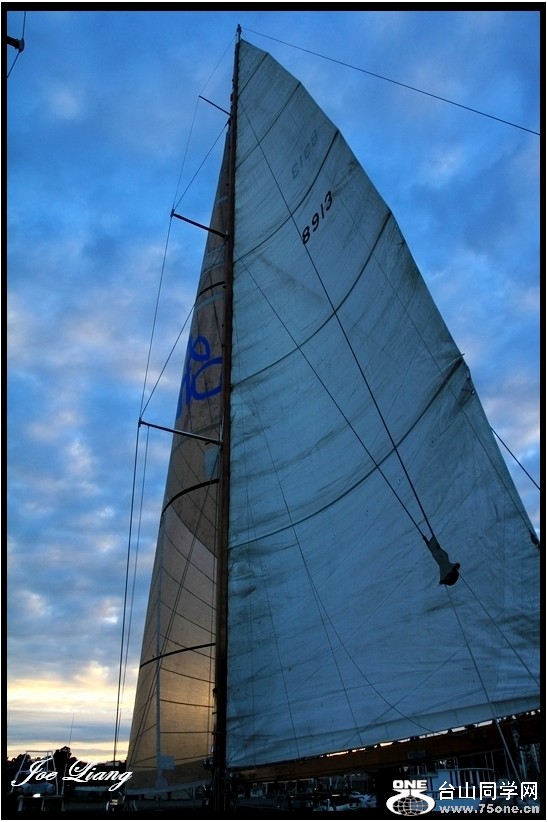 Picture 441-1.jpg