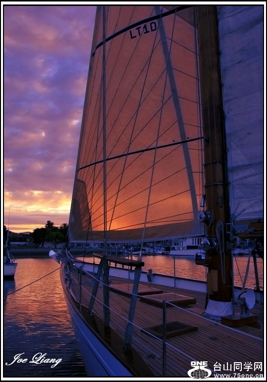 Picture 439-1.jpg