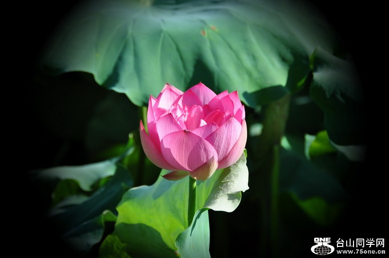 Ƭ 078.jpg
