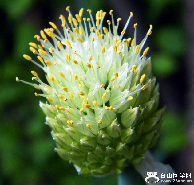 DSCF0374.JPG