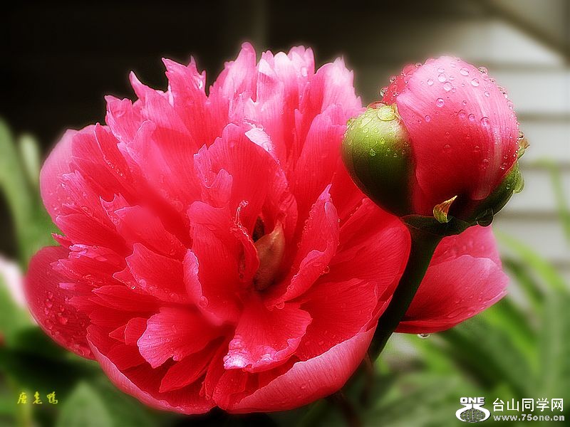 IMG_1127.jpg