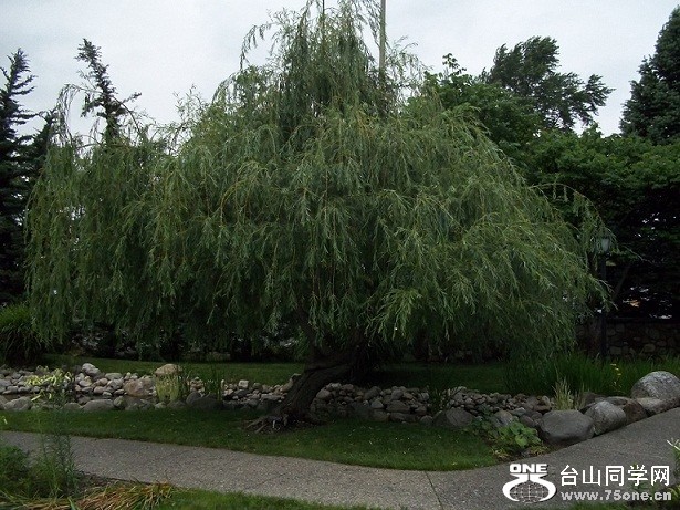 WARSAW PARK 016a.jpg