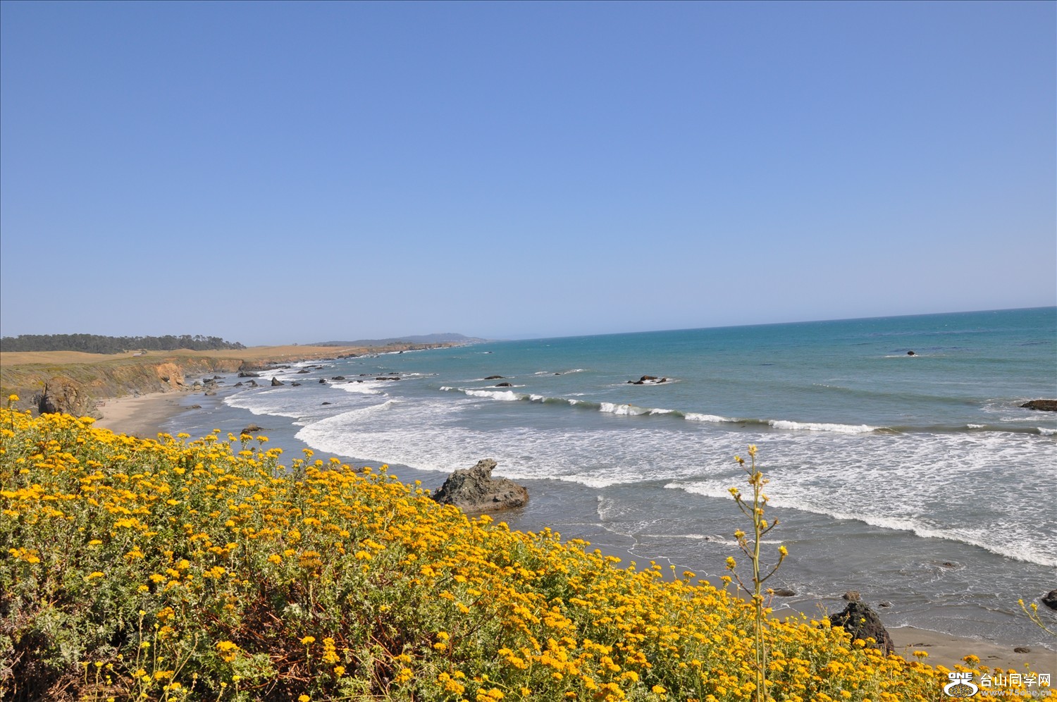 DSC_0497.JPG