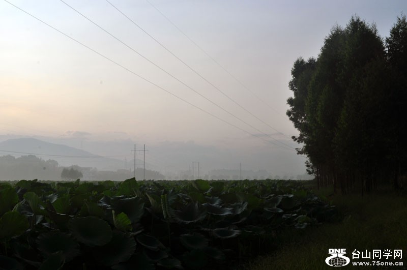 DSC_2134.jpg