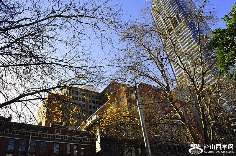 _DSC0011 [800x600].jpg